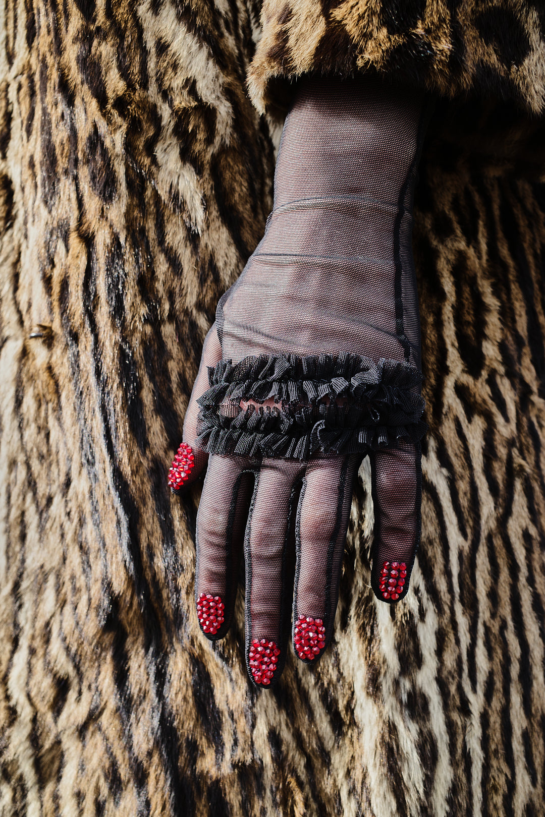Noir Claw